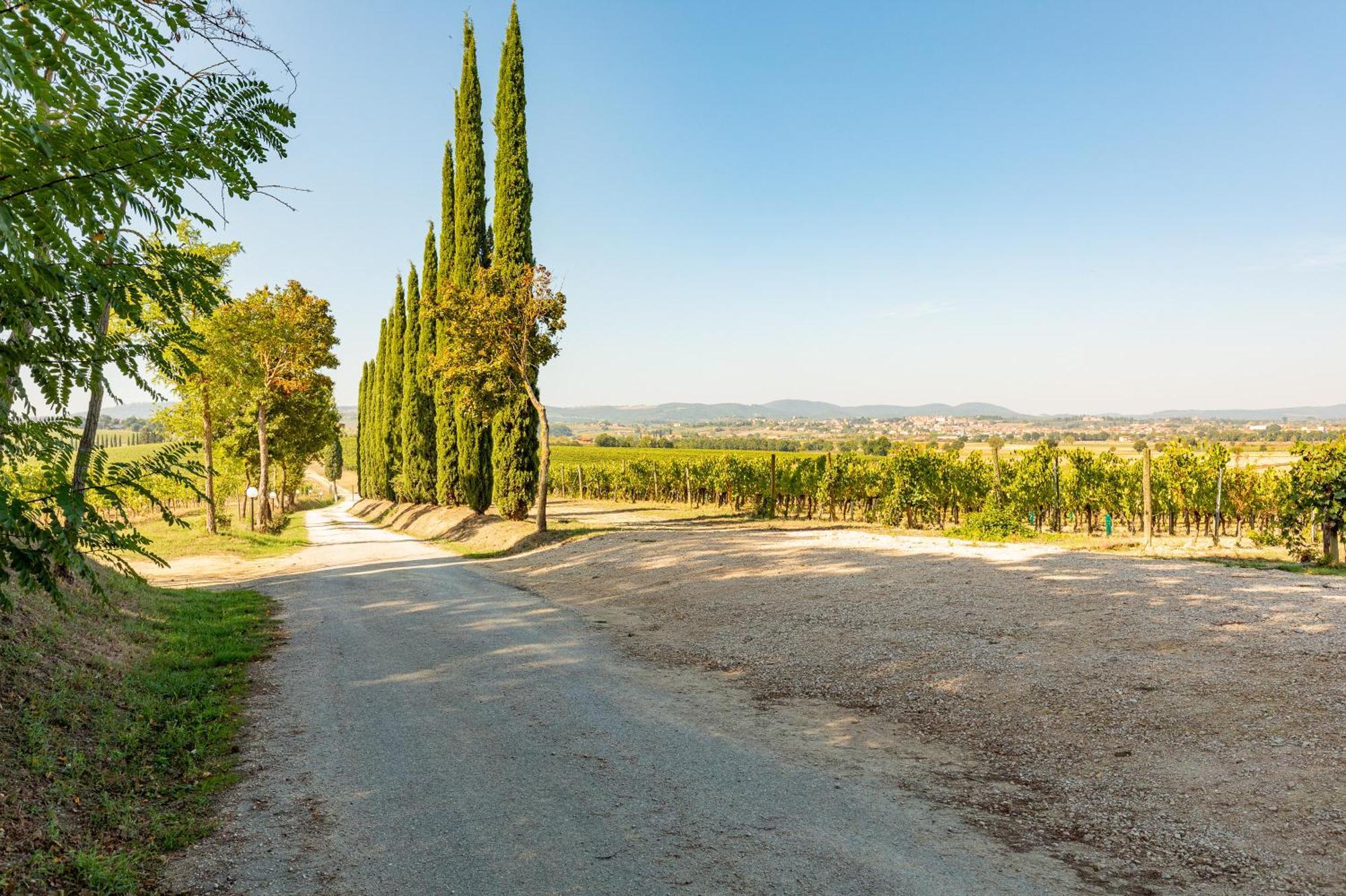 Appartamento Nobile Montepulciano Stazione Eksteriør bilde